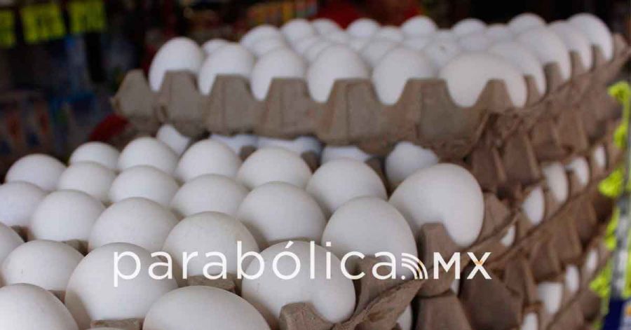 Es Puebla segundo lugar en producci&oacute;n de huevo