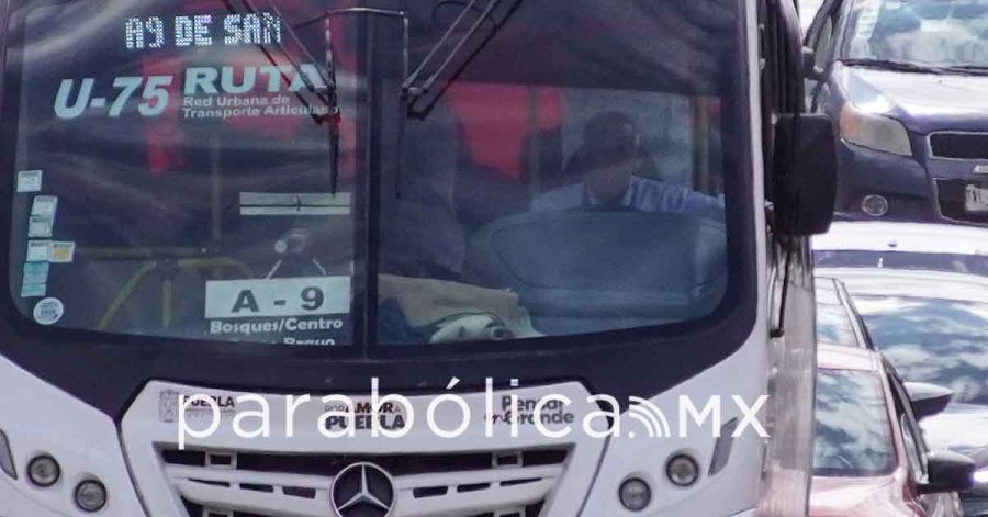 Buscar&aacute; Congreso adaptaci&oacute;n de transporte p&uacute;blico para personas con discapacidad