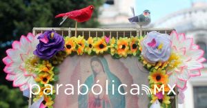 Peregrinan pajareros poblanos para defender un oficio en riesgo