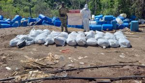 Aseguran Fuerzas federales 16.8 toneladas de metanfetamina en Sinaloa