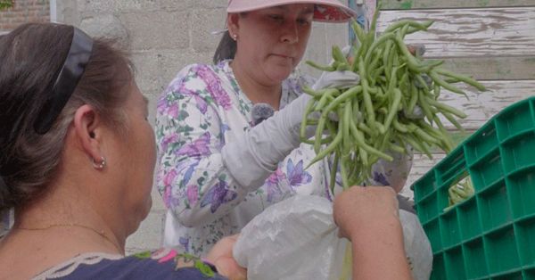 Diputada Ana Tepole impulsa apoyo alimentario para m&aacute;s de 600 familias