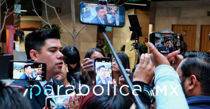 Propone Natale crear la Fiscal&iacute;a Especializada en Investigaci&oacute;n de Delitos contra los Animales