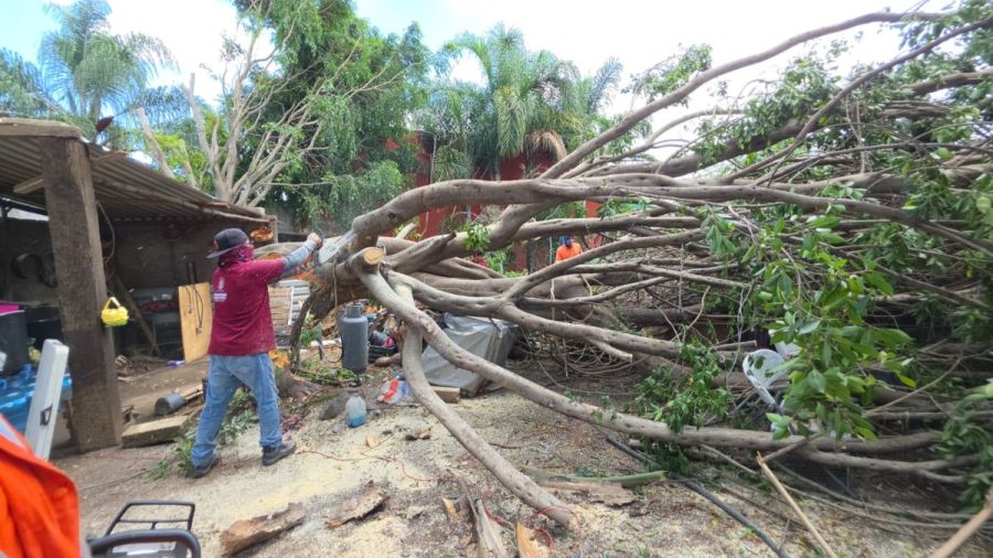 Cuautlancingo mantiene atenci&oacute;n a afectaciones derivadas de la lluvia