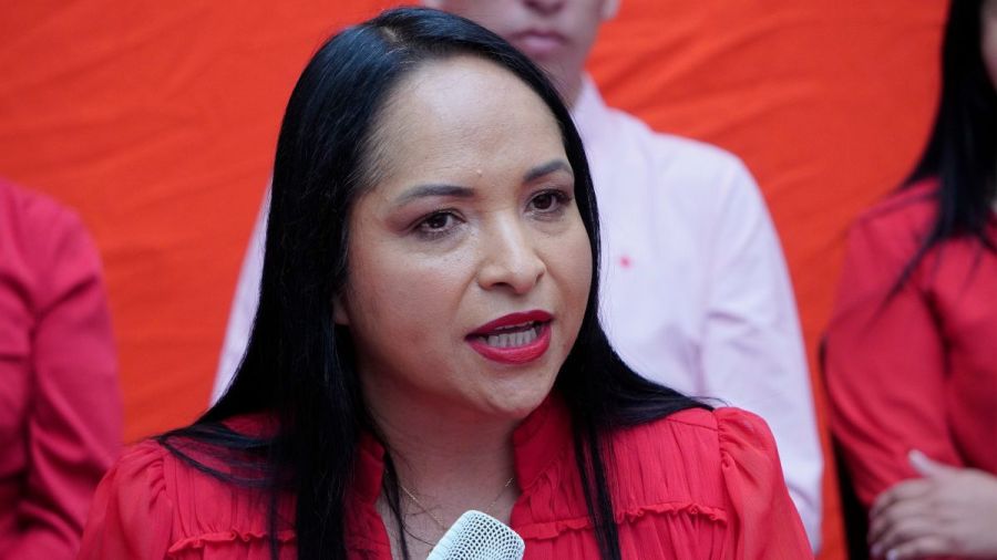 Tendr&aacute; cobijo Nay Salvatori en el PT si Morena decide expulsarla: S&aacute;nchez