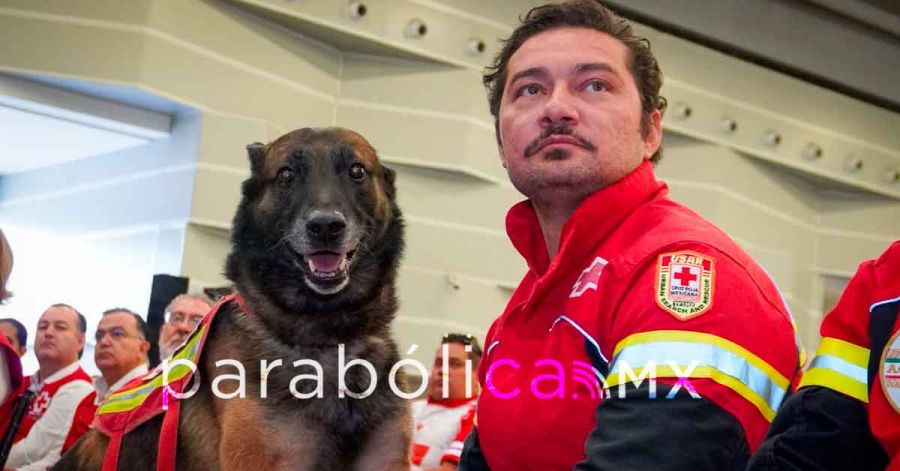 Jubila Cruz Roja Mexicana a "Rex", can de ciudad de Puebla con destacada participaci&oacute;n en Turqu&iacute;a