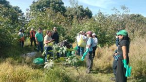 Recuperan predio en Zerezotla usado como basurero clandestino