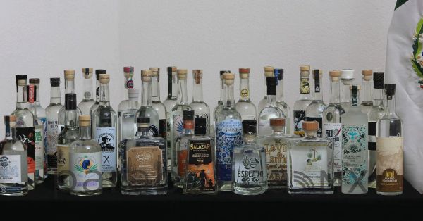 Se posiciona Puebla como l&iacute;der en mezcal con 91 medallas a nivel nacional