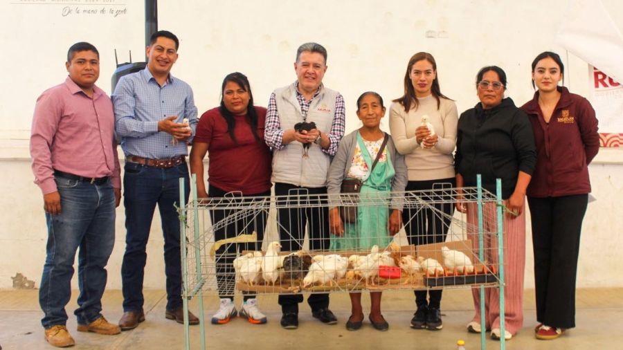 Zacatl&aacute;n entrega aves de postura en apoyo de la econom&iacute;a familiar