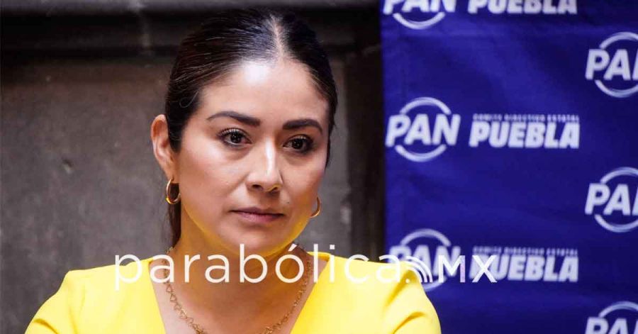 Suman 20 aspirantes a la alcald&iacute;a por el PAN, presume Gaby Ruiz