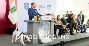 Ser&aacute; "La Ciudad de los Seres Sintientes", ejemplo de protecci&oacute;n a los animales: Armenta