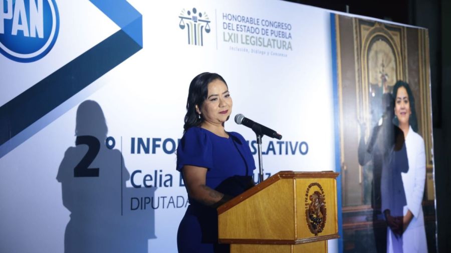 Rinde Celia Bonaga Segundo Informe de Actividades