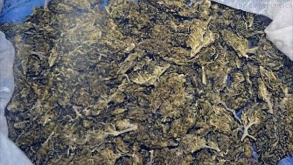 Obtuvo FGR sentencia vs detenido con arma de fuego y marihuana