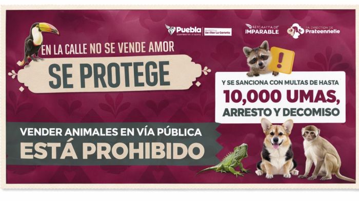 Refuerza ayuntamiento acciones para regular venta de animales en v&iacute;a p&uacute;blica
