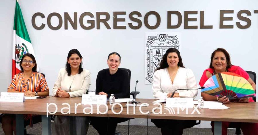 Busca Congreso crear protocolos contra la violencia vicaria