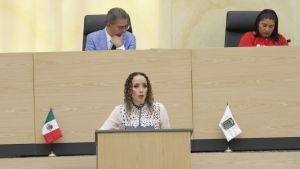 Proponen ampliar medidas de atenci&oacute;n para menores v&iacute;ctimas de delitos