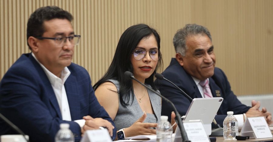 Anuncia Kathya S&aacute;nchez foros para la construcci&oacute;n de la Ley de Participaci&oacute;n Ciudadana