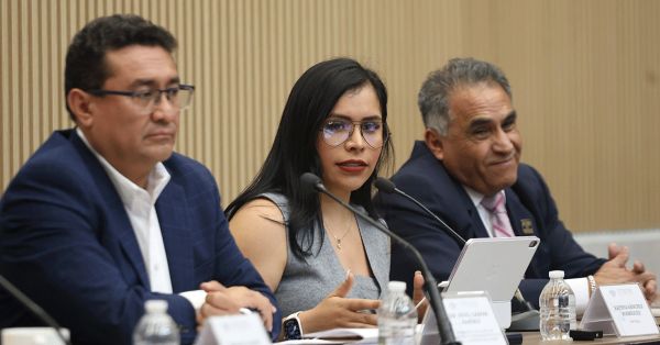 Anuncia Kathya S&aacute;nchez foros para la construcci&oacute;n de la Ley de Participaci&oacute;n Ciudadana