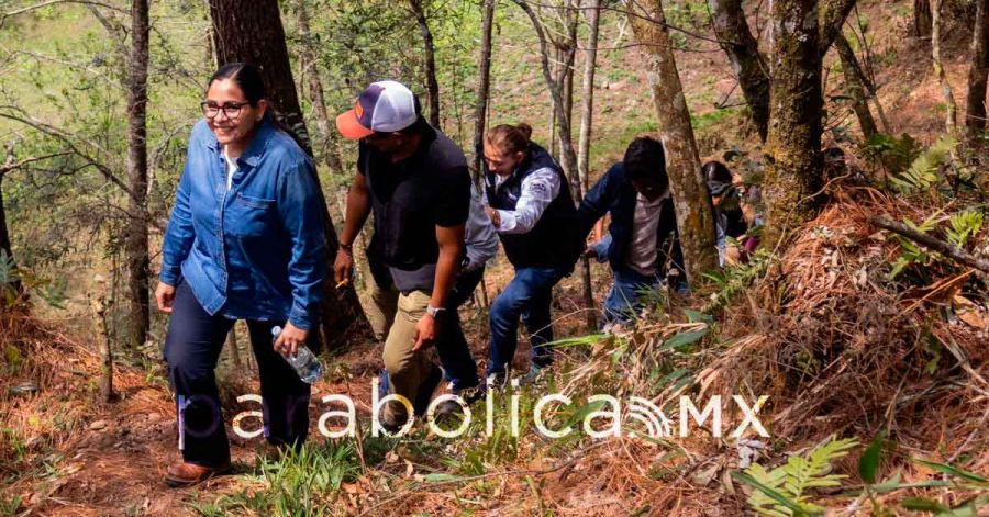 Fortalece Lupita Vargas trabajo en equipo para impulsar el desarrollo de la Sierra Norte