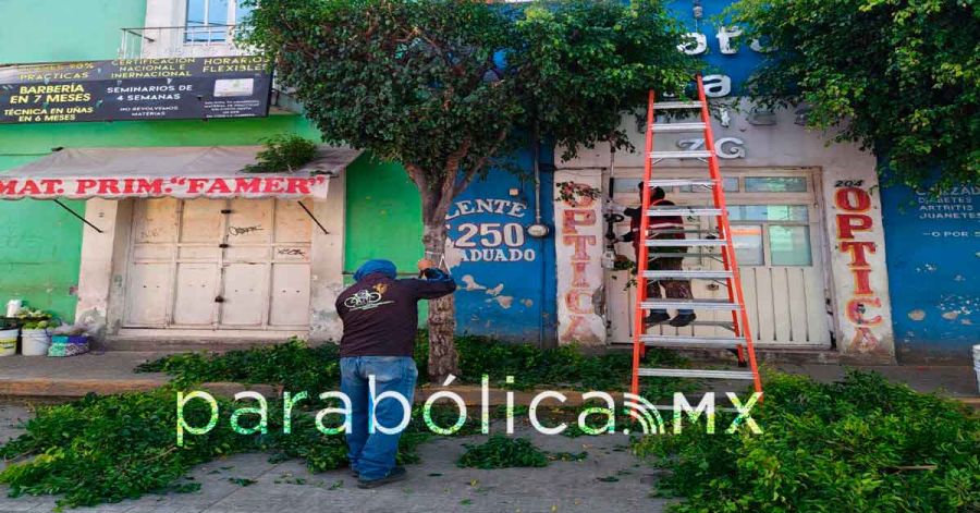 Refuerza Tonantzin Fern&aacute;ndez mantenimiento urbano y servicios p&uacute;blicos en San Pedro Cholula