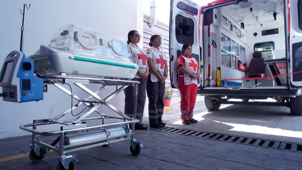 Anuncia Cruz Roja cuenta para donativos de ayuda a Venezuela