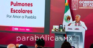 Deslinda Manuel Viveros a la SEP de promoci&oacute;n de Jes&uacute;s Morales, rector de la UTP