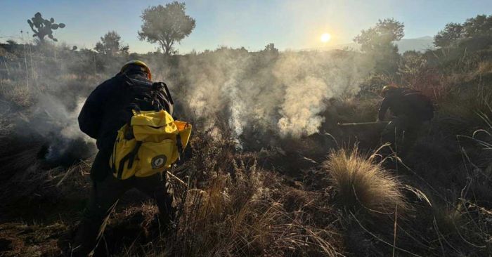 Atienden incendio en el Cerro del Brujo