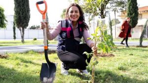 Realiza Lupita Cuautle 20&ordf; Jornada de Reforestaci&oacute;n en San Andr&eacute;s