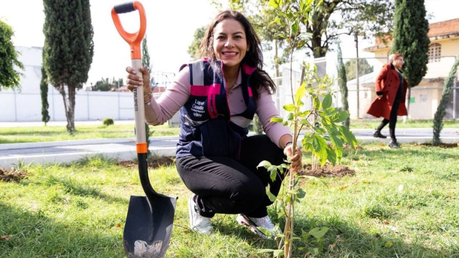 Realiza Lupita Cuautle 20&ordf; Jornada de Reforestaci&oacute;n en San Andr&eacute;s