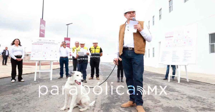 Supervisa Armenta obra de la C&eacute;lula de Bienestar Animal