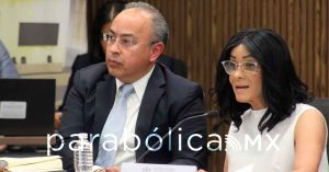 Innecesario que CDH Puebla impugnara la Ley vs Ciberasedio: S&aacute;nchez Soya