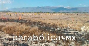 Ampl&iacute;an Brigadistas de Protecci&oacute;n Civil habilidades contra incendios forestales