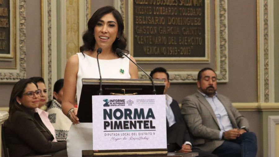 Avances para protecci&oacute;n de las mujeres: Norma Pimentel