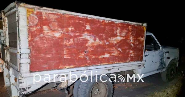 Recupera SSP 165 ejemplares de oyamel en Atlixco
