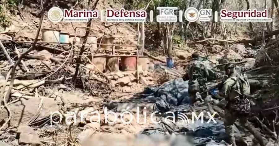 Inhabilita Gabinete de Seguridad tres narcolaboratorios en Sinaloa