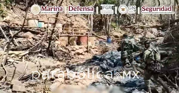 Inhabilita Gabinete de Seguridad tres narcolaboratorios en Sinaloa