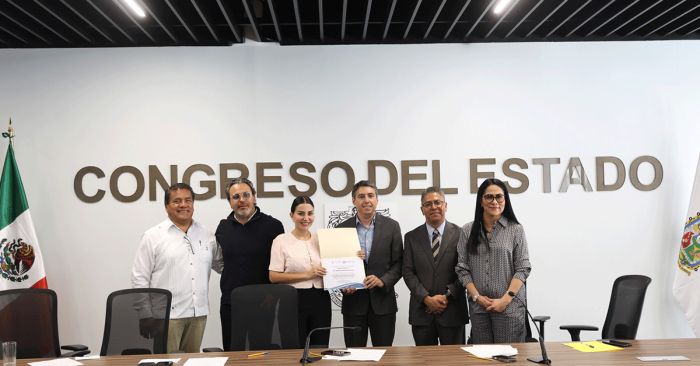 Analizan temas relacionados con el juicio pol&iacute;tico y la declaraci&oacute;n de procedencia