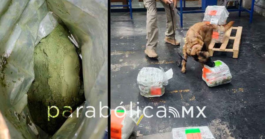 Aseguran en Aduanas del AICM ocho kilos de hojas de coca procedente de Colombia