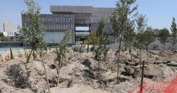 Arranca reforestaci&oacute;n urbana en CIS y Parque Ecol&oacute;gico; la meta son 10 mil &aacute;rboles