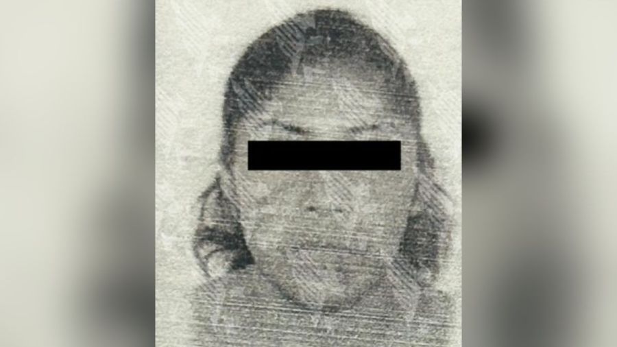 A proceso, mujer por violencia familiar y lesiones contra su hijo en Iz&uacute;car