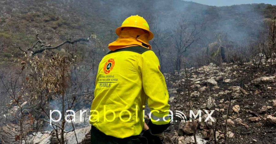 Sofocado, incendio forestal en Cohetzala sin da&ntilde;os a poblaci&oacute;n: PC