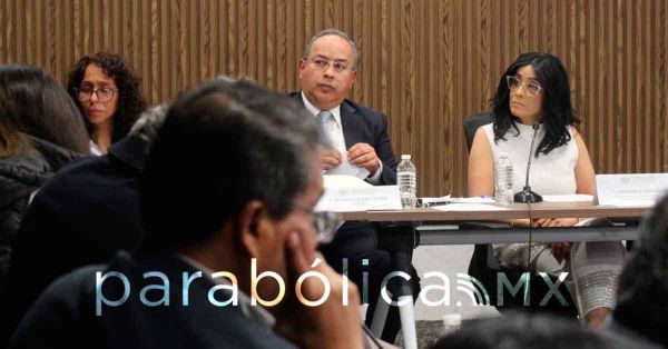 Emiti&oacute; CDH Puebla solo 18 recomendaciones de m&aacute;s de 8 mil 563 quejas: S&aacute;nchez Soya