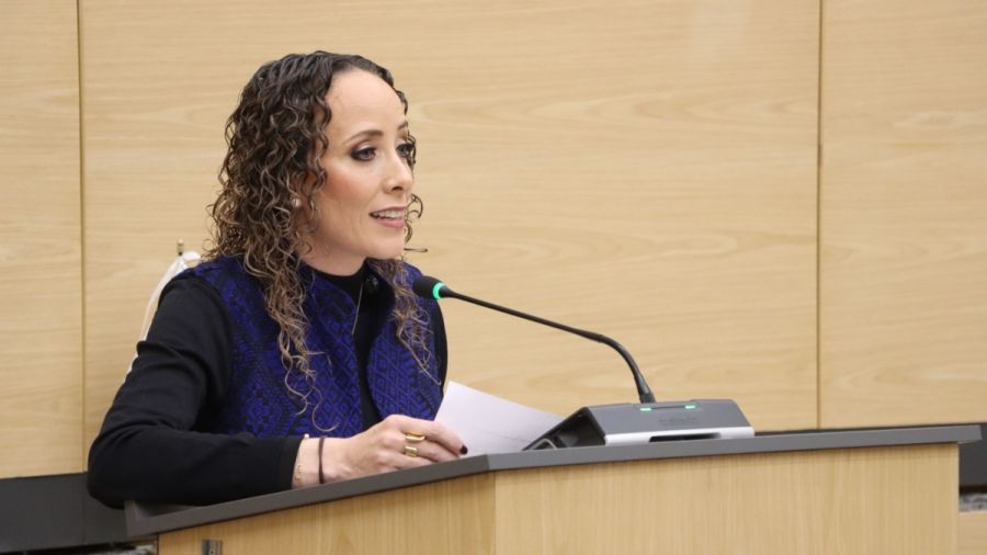 Propone Susana Riestra crear la Ley de Justicia C&iacute;vica del Estado