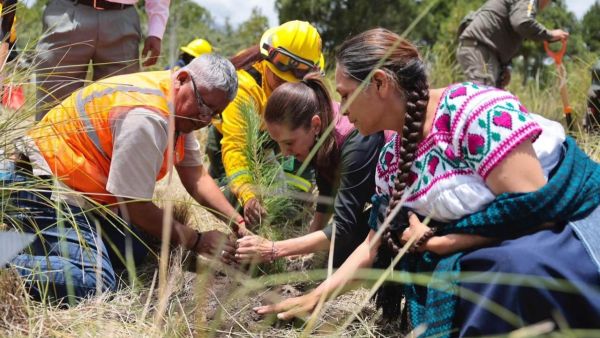 Desde el Izta-Popo, Tonantzin Fern&aacute;ndez cierra filas con Claudia Sheinbaum