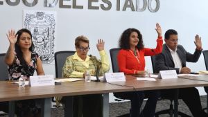 Avalan en Comisi&oacute;n garantizar atenci&oacute;n m&eacute;dica a embarazadas