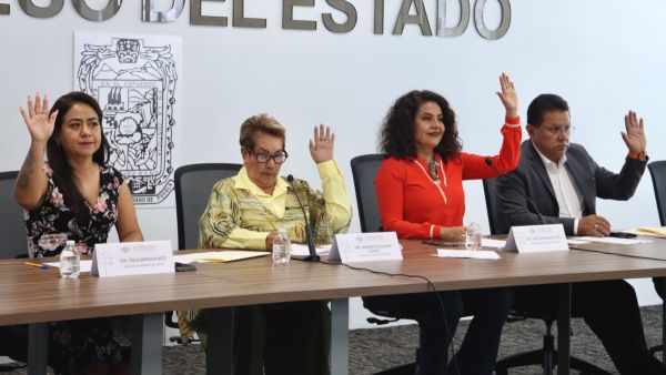 Avalan en Comisi&oacute;n garantizar atenci&oacute;n m&eacute;dica a embarazadas