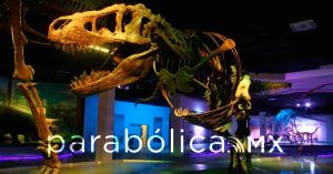Resguarda Museo de la Evoluci&oacute;n colecci&oacute;n cient&iacute;fica m&aacute;s importantes del estado