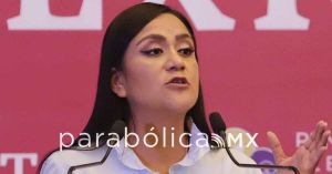 Podr&aacute;n participar morenistas ser coordinaciones federales sin dejar sus cargos: Montiel