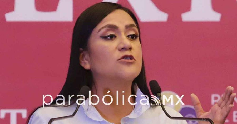 Podr&aacute;n participar morenistas ser coordinaciones federales sin dejar sus cargos: Montiel