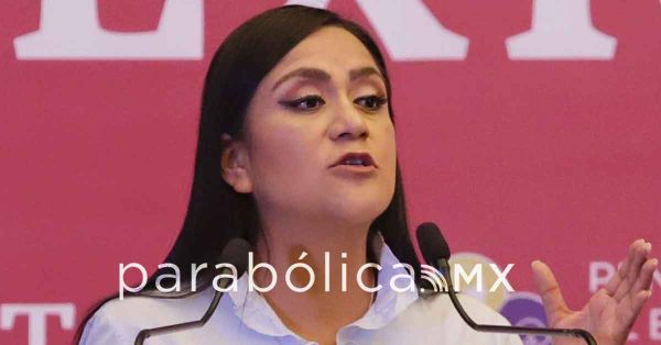 Podr&aacute;n participar morenistas ser coordinaciones federales sin dejar sus cargos: Montiel