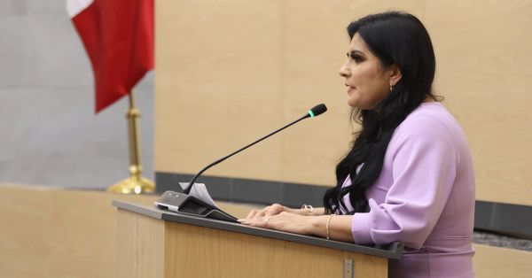 Llama Delfina Pozos a fortalecer la representaci&oacute;n ciudadana y el equilibrio democr&aacute;tico